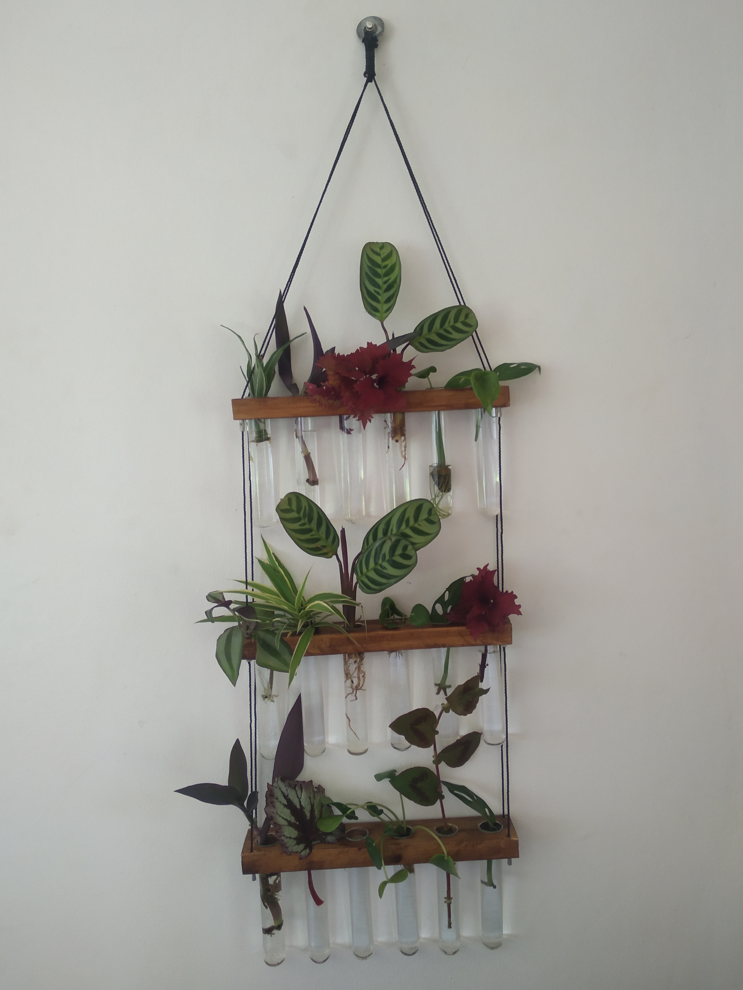 Propagation Station